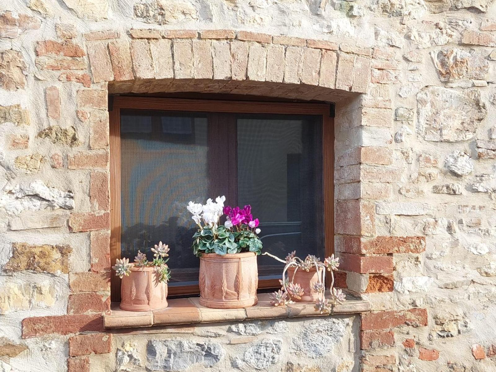 Al Piccolo Ulivo, A Casa Di Mimo&Se Villa Castiglione d'Orcia Exterior photo