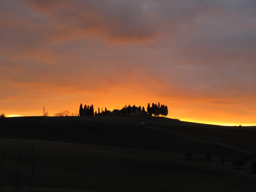 Al Piccolo Ulivo, A Casa Di Mimo&Se Villa Castiglione d'Orcia Exterior photo