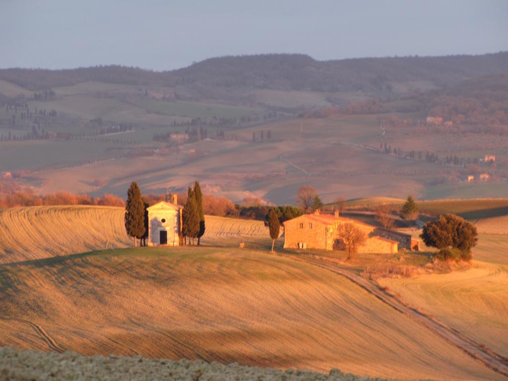 Al Piccolo Ulivo, A Casa Di Mimo&Se Villa Castiglione d'Orcia Exterior photo
