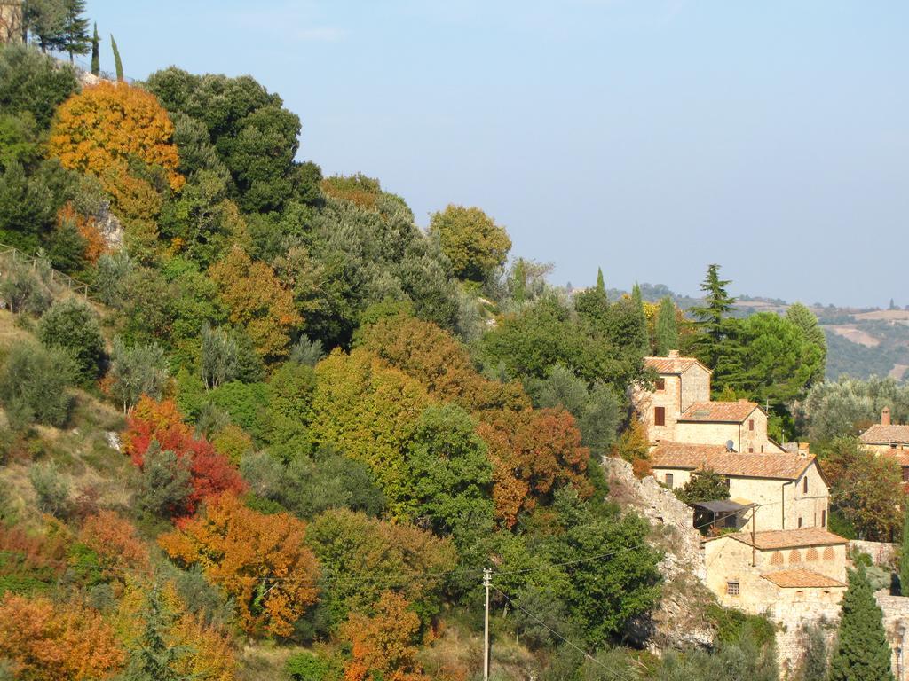Al Piccolo Ulivo, A Casa Di Mimo&Se Villa Castiglione d'Orcia Exterior photo